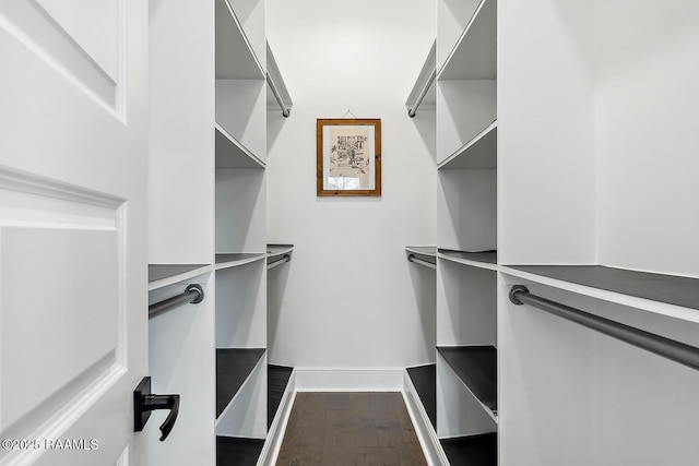 spacious closet with dark hardwood / wood-style floors