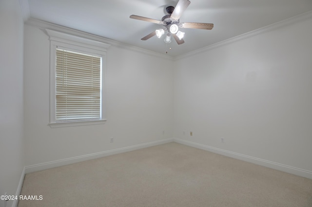 carpeted spare room with ceiling fan and crown molding