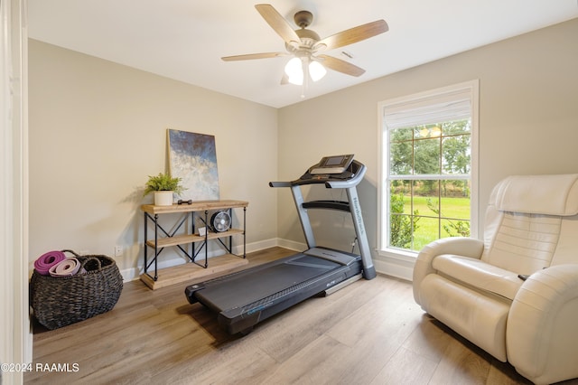 exercise area with ceiling fan and light wood-type flooring