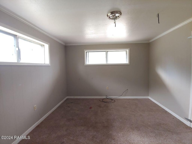 spare room featuring crown molding and carpet floors