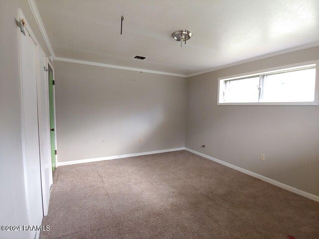 carpeted spare room with ornamental molding