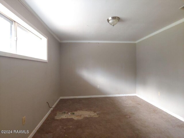 spare room featuring crown molding