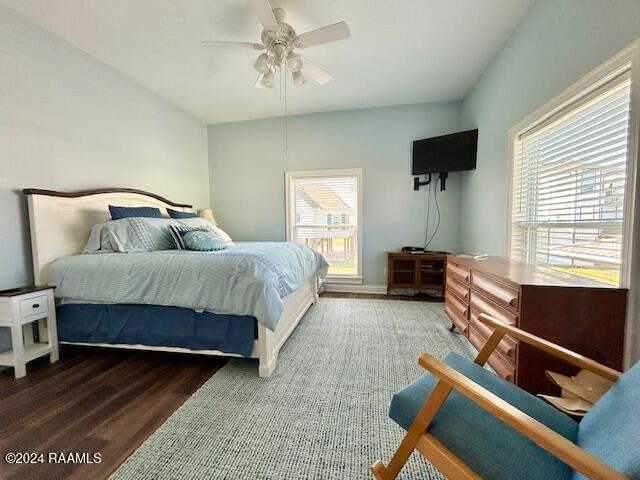 bedroom featuring multiple windows, ceiling fan, and dark hardwood / wood-style flooring