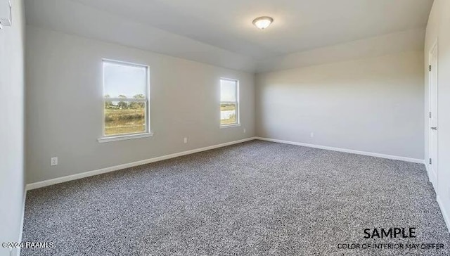 carpeted spare room with plenty of natural light