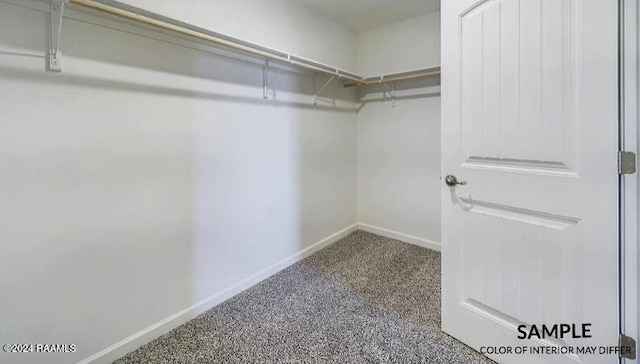 spacious closet featuring carpet flooring