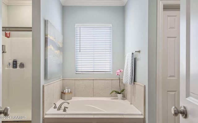 bathroom with separate shower and tub and crown molding