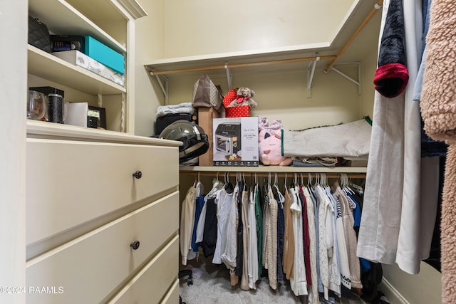 spacious closet featuring carpet