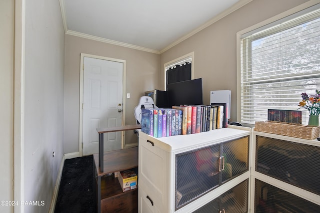 office featuring crown molding