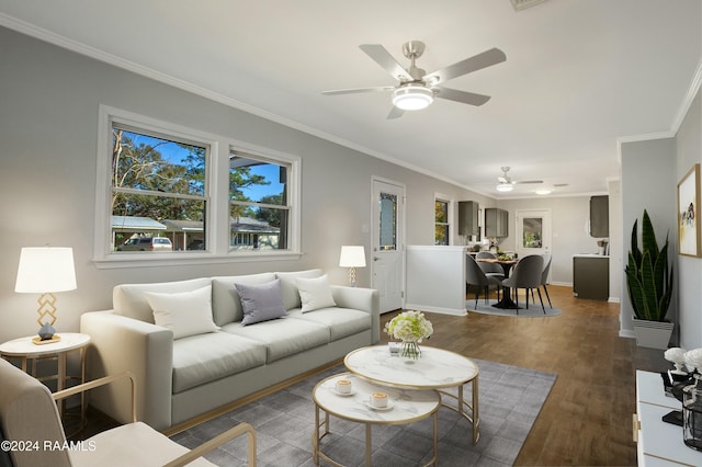 living room with crown molding, ceiling fan, and dark hardwood / wood-style floors