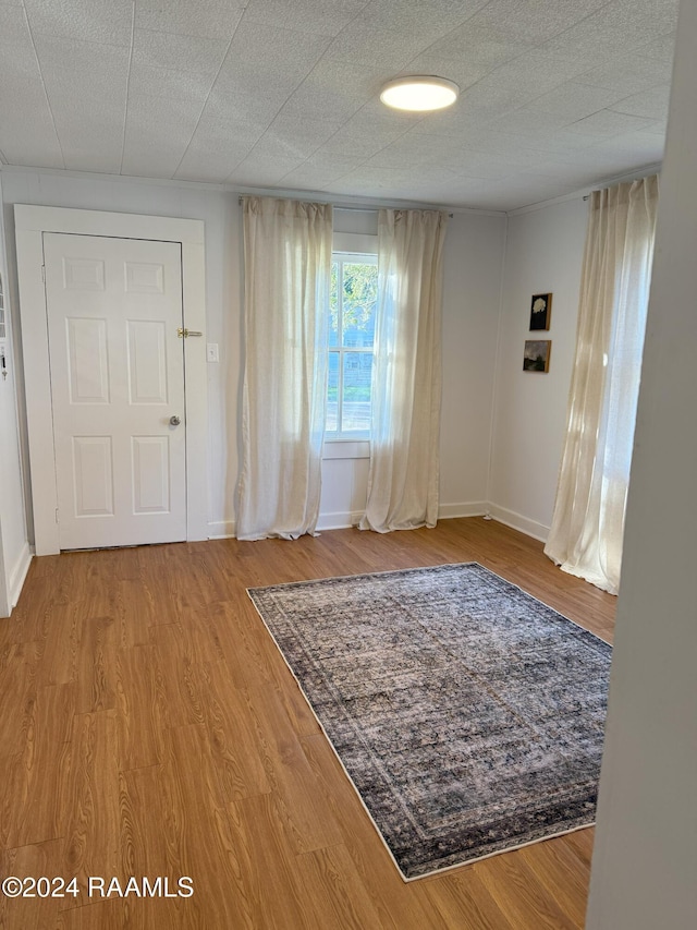 foyer entrance with wood-type flooring