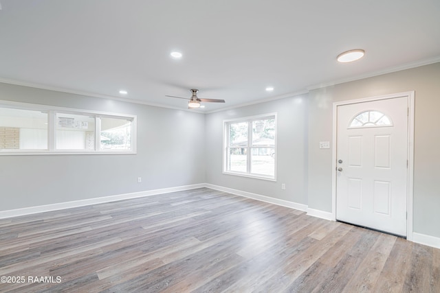 foyer entrance featuring crown molding, ceiling fan, and light hardwood / wood-style floors