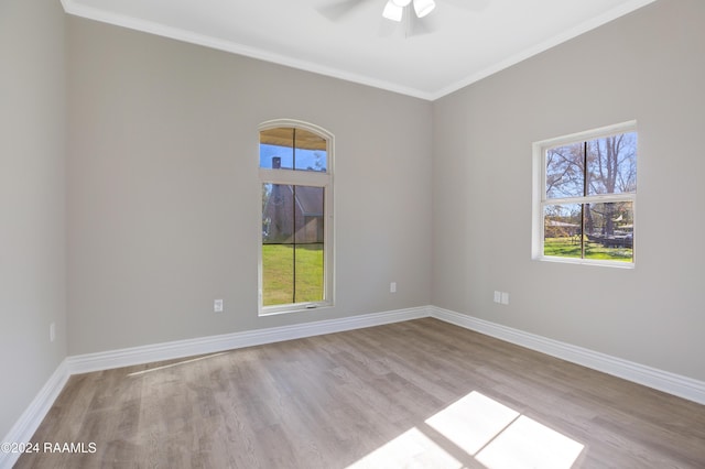 empty room featuring ceiling fan, plenty of natural light, and light hardwood / wood-style floors