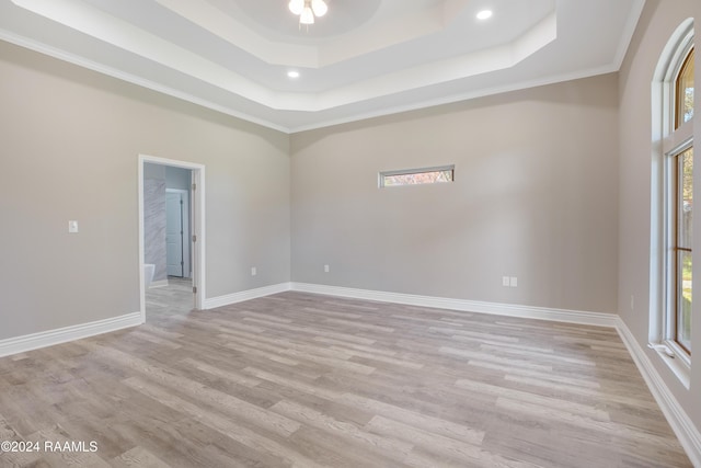 spare room with light hardwood / wood-style floors, a raised ceiling, and a healthy amount of sunlight