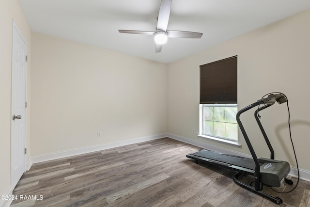 exercise room with hardwood / wood-style floors and ceiling fan