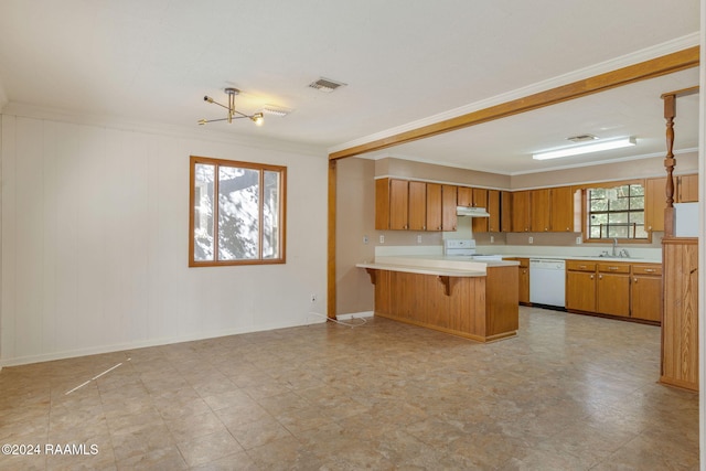 kitchen featuring white dishwasher, a wealth of natural light, and ornamental molding