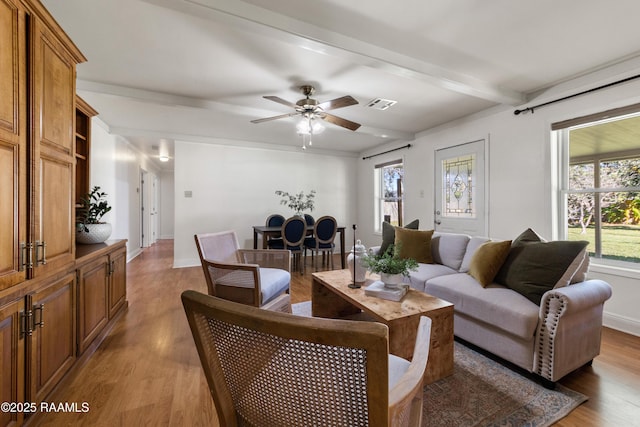 living room featuring ceiling fan, plenty of natural light, beamed ceiling, and light wood-type flooring