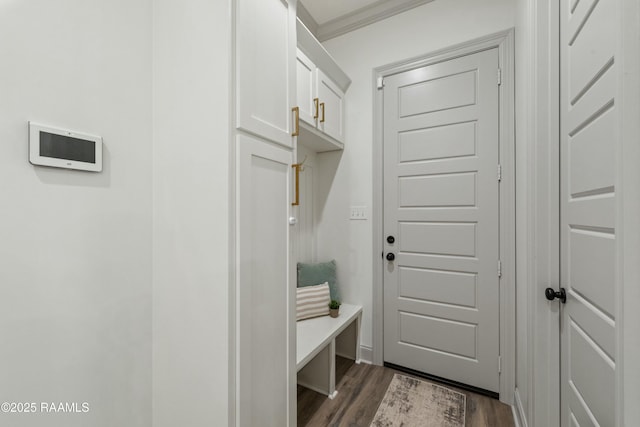 mudroom with crown molding and dark wood-type flooring