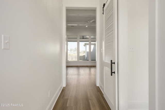 hallway with a barn door and dark wood-type flooring