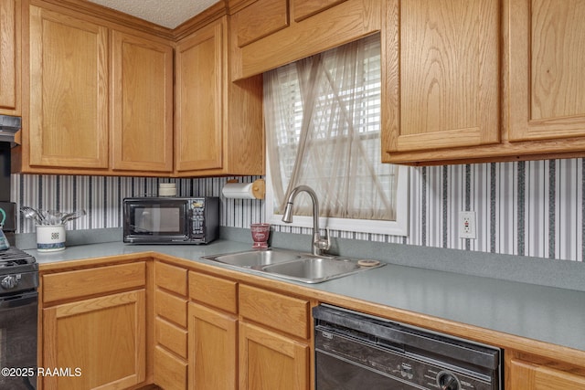 kitchen featuring black appliances and sink