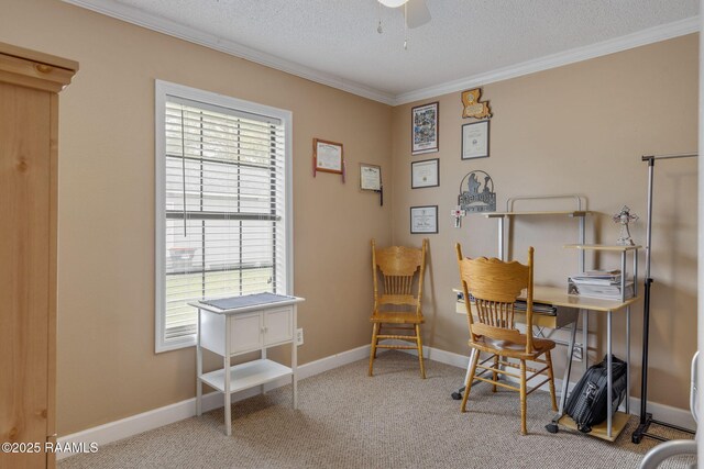 carpeted home office with ceiling fan, crown molding, and a textured ceiling