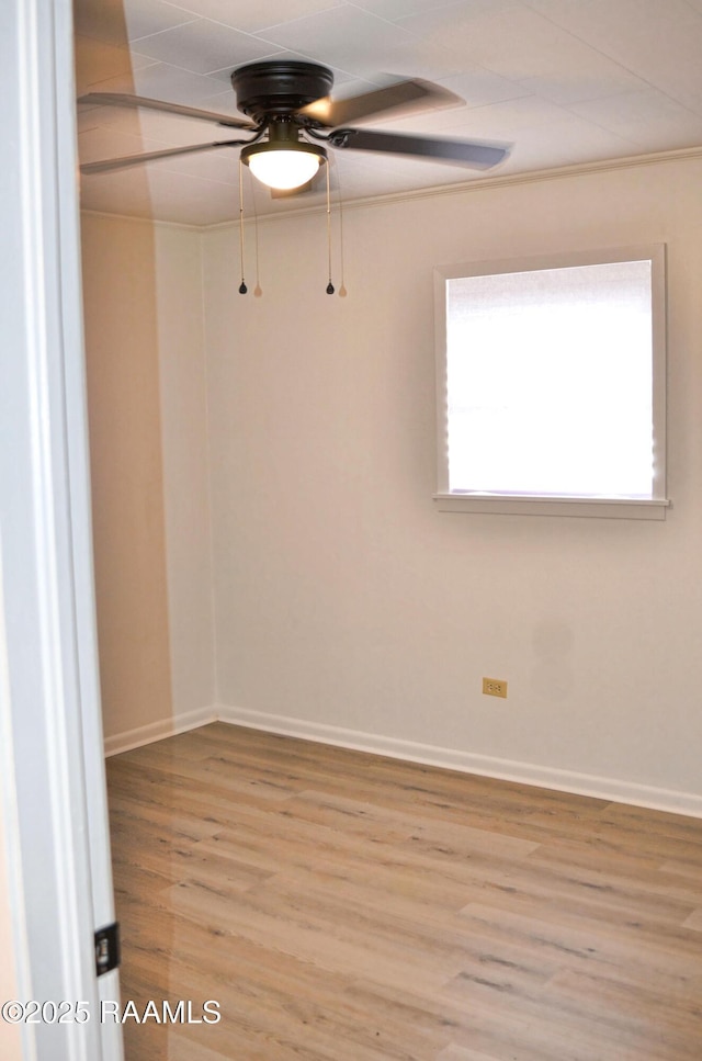 empty room featuring ceiling fan and light hardwood / wood-style floors