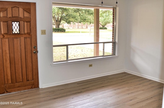 entrance foyer with a wealth of natural light and wood-type flooring