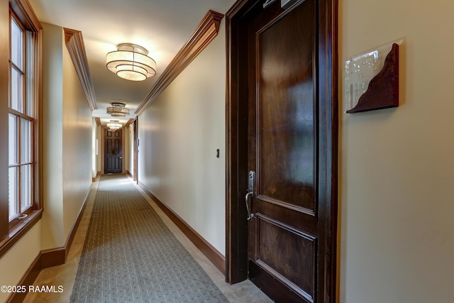 hallway featuring crown molding