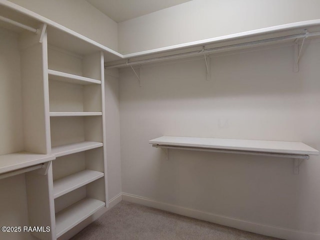 walk in closet featuring light colored carpet