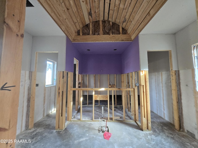 miscellaneous room featuring vaulted ceiling