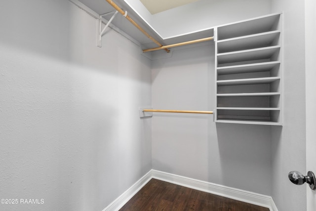 spacious closet with hardwood / wood-style flooring