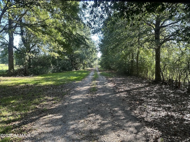 6757 Line Rd, Ethel, LA 70730 - view of dirt / gravel road