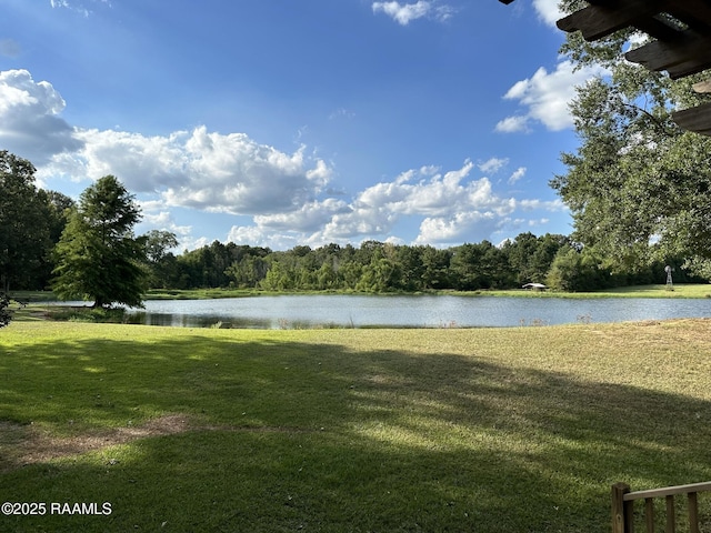 6757 Line Rd, Ethel, LA 70730 - water view