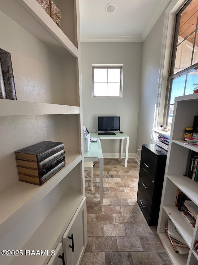 office space with crown molding