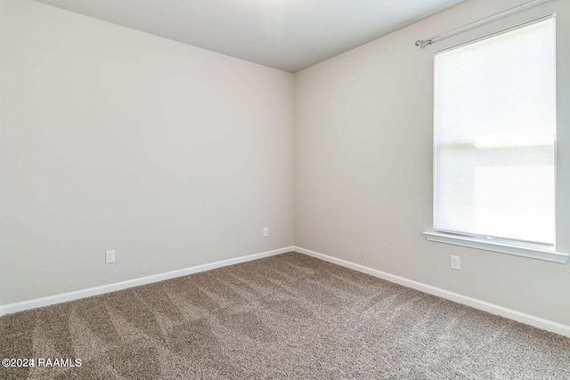 spare room with carpet floors