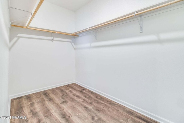 walk in closet featuring hardwood / wood-style flooring