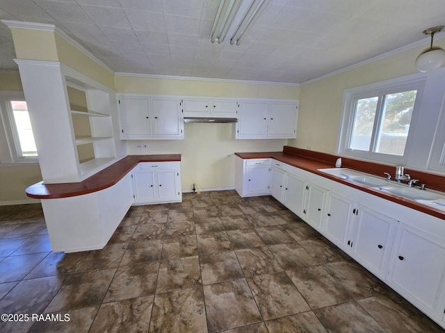 kitchen with crown molding, sink, and white cabinets