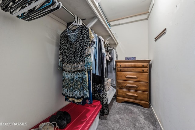 walk in closet featuring carpet flooring