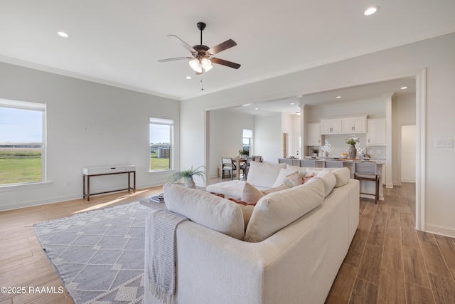 living room featuring hardwood / wood-style flooring, ceiling fan, and ornamental molding