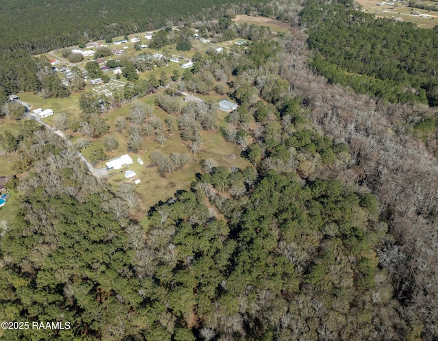 1984 Old Evangeline Hwy, Evangeline, LA 70537 - photo 5