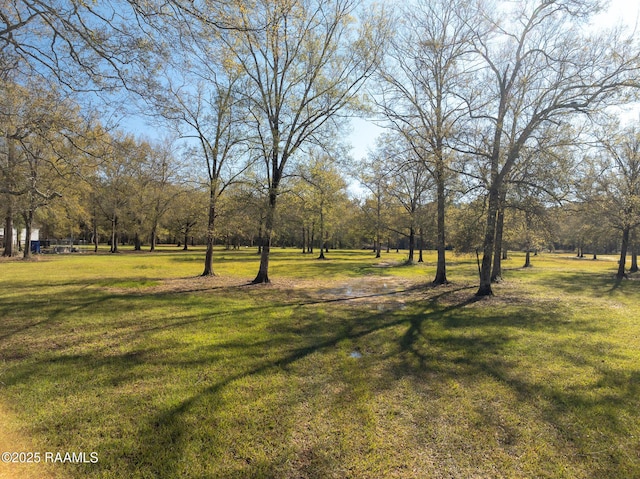 1984 Old Evangeline Hwy, Evangeline LA, 70537 land for sale