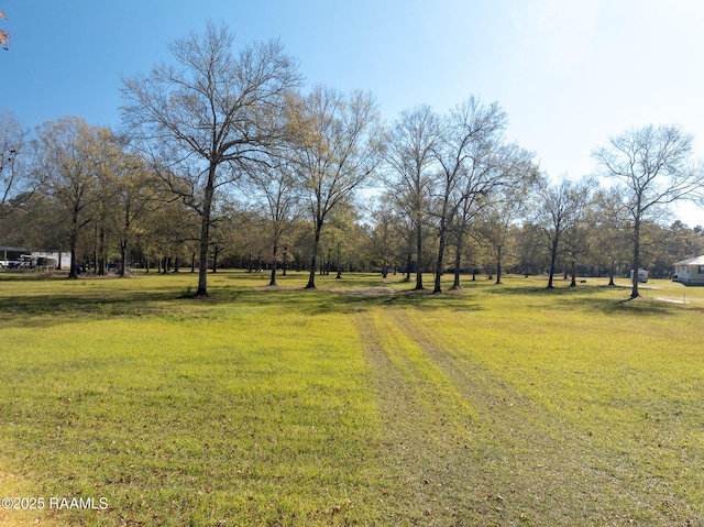 1984 Old Evangeline Hwy, Evangeline, LA 70537 - photo 8