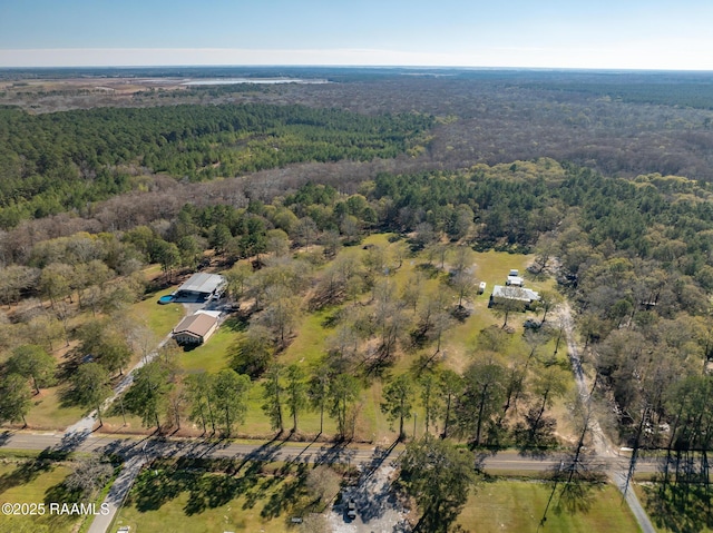 1984 Old Evangeline Hwy, Evangeline, LA 70537 - photo 6