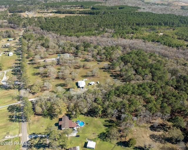 1984 Old Evangeline Hwy, Evangeline, LA 70537 - photo 9