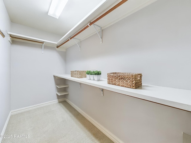 spacious closet featuring light carpet