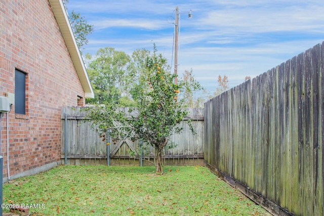 107 W Bayou Shr, Lafayette, LA 70508 - view of yard