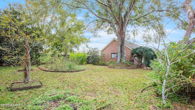 107 W Bayou Shr, Lafayette, LA 70508 - view of yard