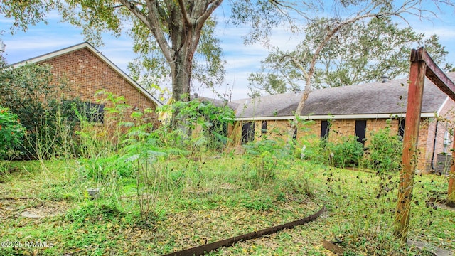 107 W Bayou Shr, Lafayette, LA 70508 - view of yard
