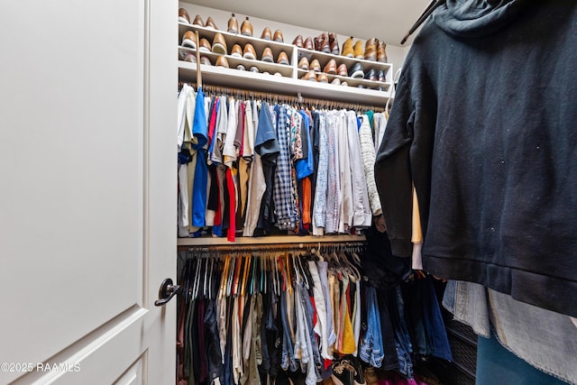 view of spacious closet