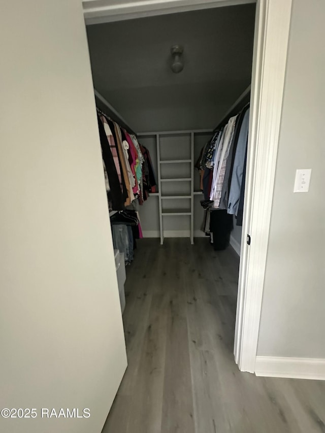 walk in closet with hardwood / wood-style flooring