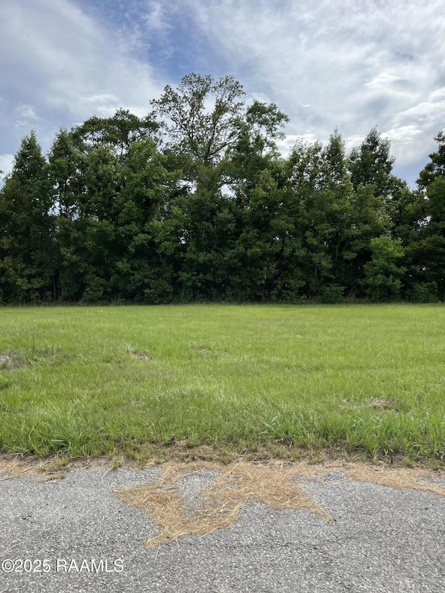 231 Watermark Dr, Lafayette LA, 70501 land for sale